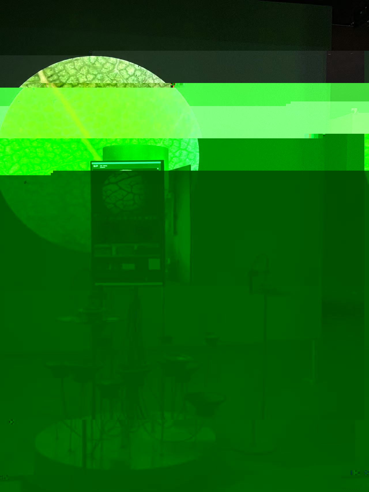 4b8f9c4d303822046c8812f882208bb