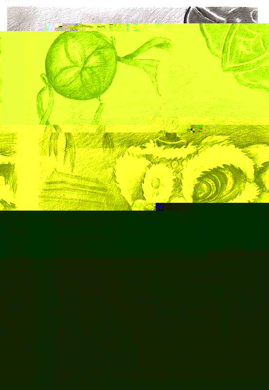 4、20240901031李明玥